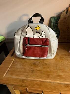 NEW - Peanuts Snoopy and Woodstock Mini 10" Backpack Bio World